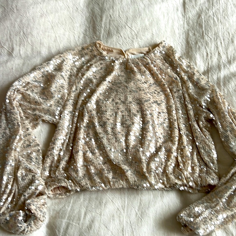 H&M crop sequin top